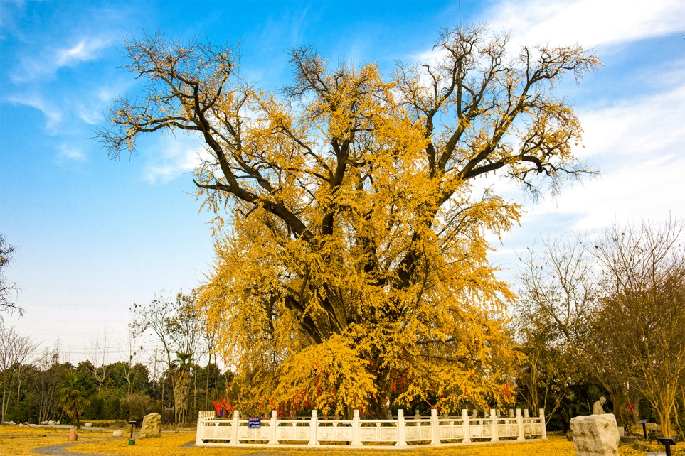 +133!最老1800岁了! +133!最老1800岁了!