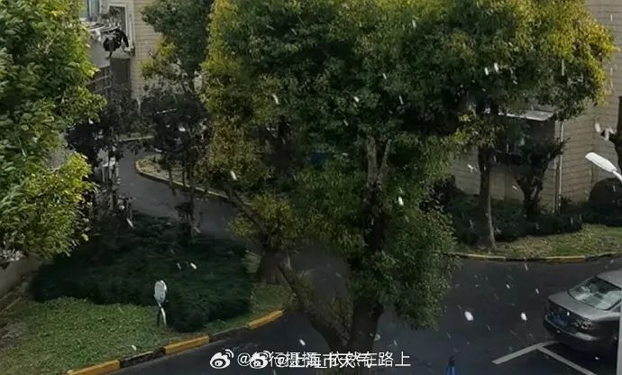 上海刚刚下雪了？网友纷纷晒图，官方回应
