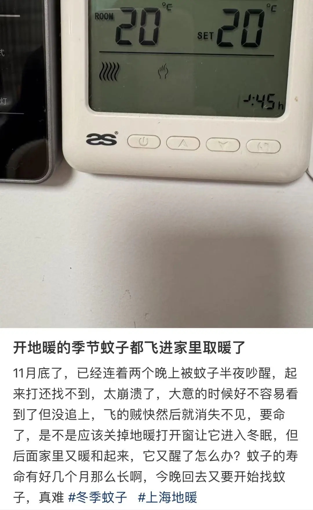 都12月了蚊子还在“嗡嗡嗡”！专家提醒：趁着冬天赶紧消灭掉