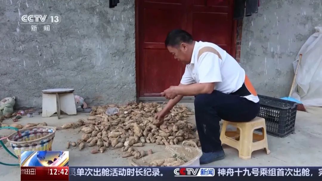 “供他吃住他却拐卖我儿子” ！余华英案新增犯罪事实曝光