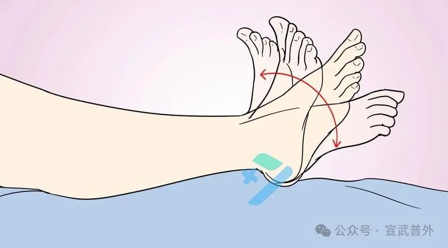踝泵运动:给下肢血液来个“加速跑”! 踝泵运动:给下肢血液来个“加速跑”!