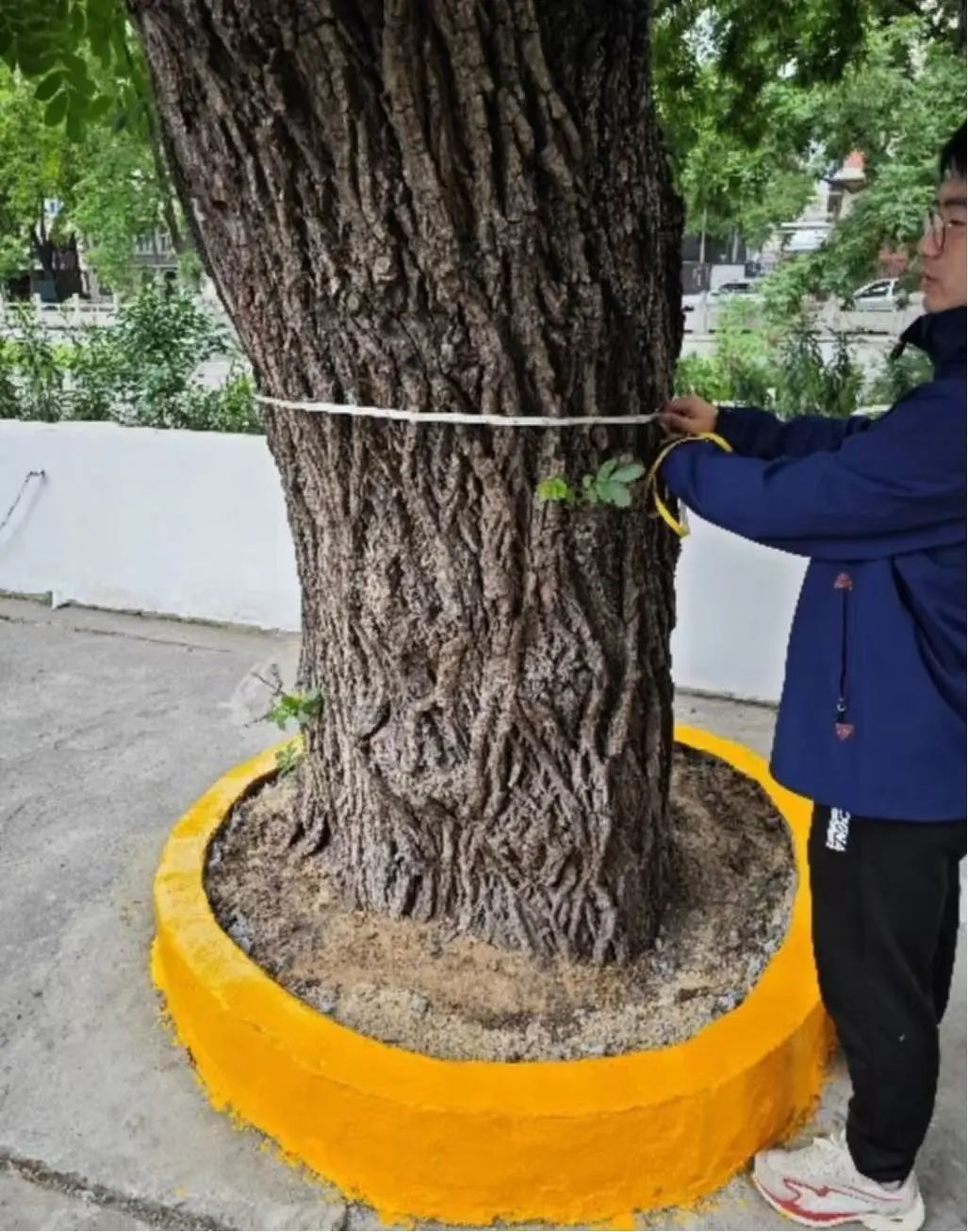 +133!最老1800岁了! +133!最老1800岁了!