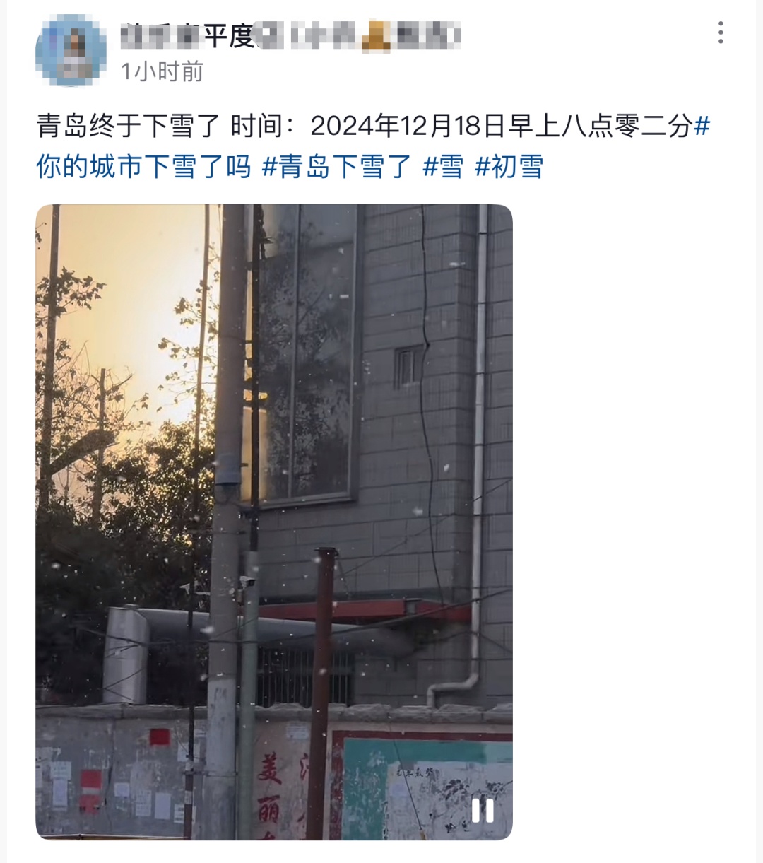 刚刚,青岛多地迎来降雪!网友沸腾了:今年冬天第一场大雪 刚刚,青岛多地迎来降雪!网友沸腾了:今年冬天第一场大雪