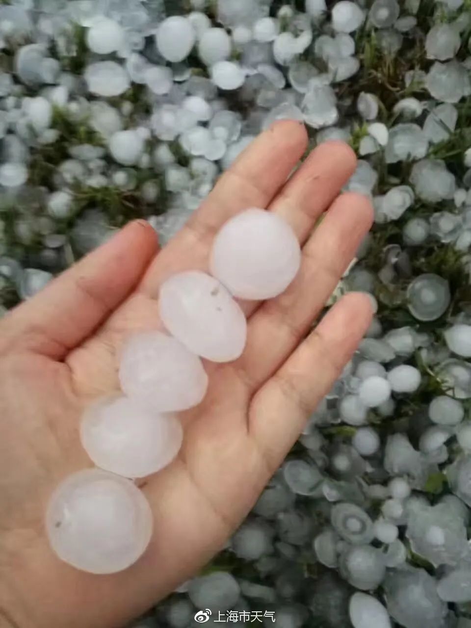 上海下雪了？网友晒图！今年还有新台风生成？是真的...