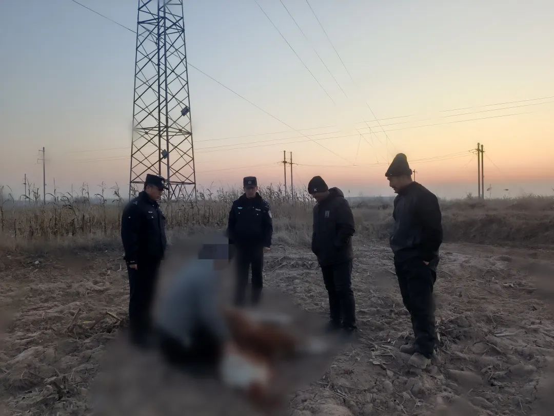 砰砰砰！疯狂的它当场被民警三枪击毙！