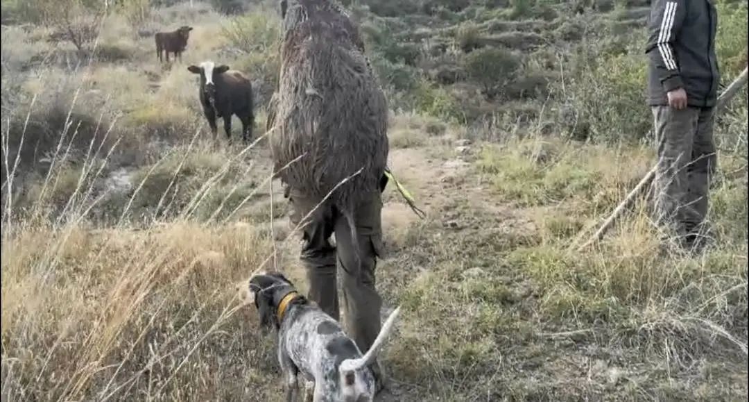 “职业野猪猎人月入过万”上热搜,当事人回应 “职业野猪猎人月入过万”上热搜,当事人回应