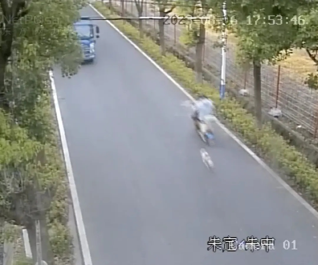 判了!男子骑电动车被狗追赶,撞树当场身亡 判了!男子骑电动车被狗追赶,撞树当场身亡