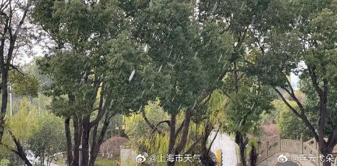 上海下雪了？网友晒图！今年还有新台风生成？是真的...