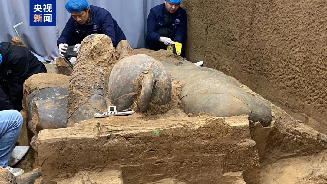 秦兵马俑考古最新发现！