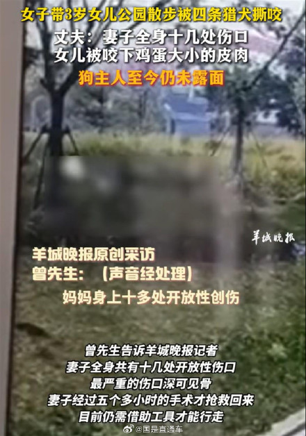 这条拴狗绳该怎么管？