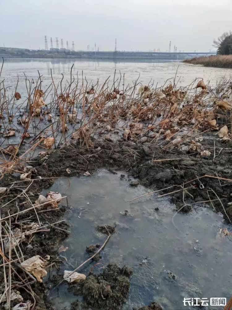 零下4℃，东湖结冰了！武汉马上下雪