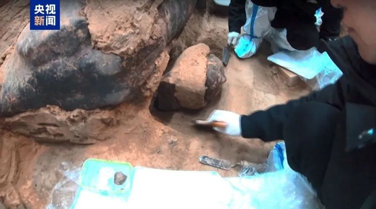 兵马俑到底有多少件?为啥出土的都是单眼皮?揭秘→ 兵马俑到底有多少件?为啥出土的都是单眼皮?揭秘→