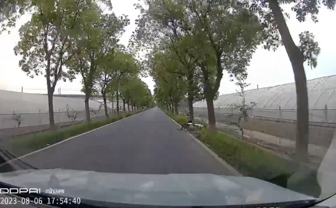 判了!男子骑电动车被狗追赶,撞树当场身亡 判了!男子骑电动车被狗追赶,撞树当场身亡