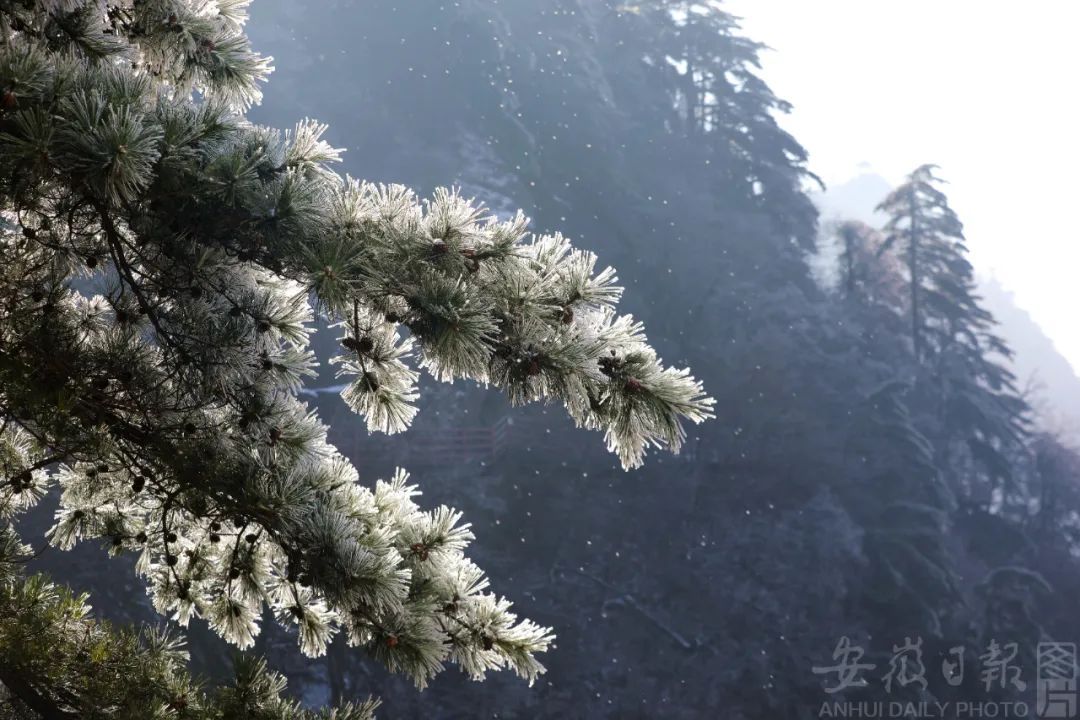 安徽最低气温-8℃！冷空气还在继续，升温的消息来了