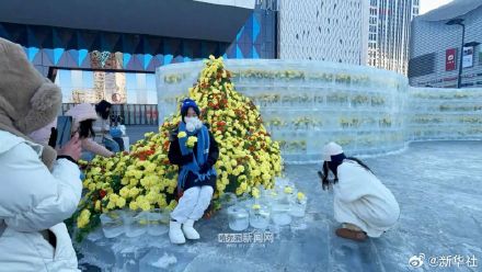 好看！哈尔滨黄玫瑰火了