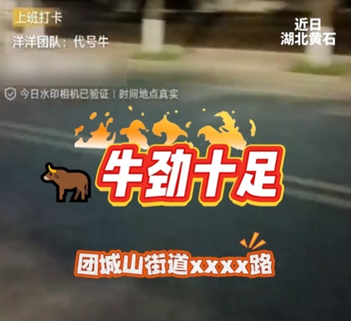 围观！来自嫌疑人第一视角→深夜贴“小卡片”打卡竟遇到警车🤲