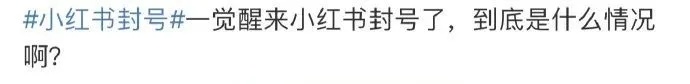 大批网友喊话！一觉醒来，被封号了……