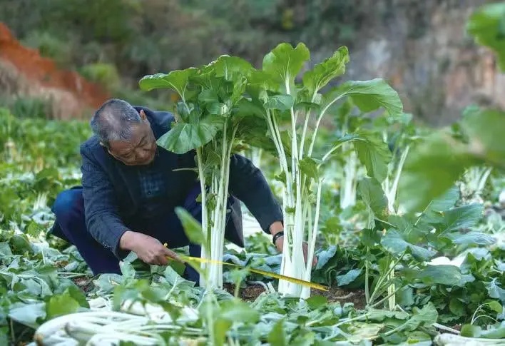 闻着臭，吃着香！浙江这些“越臭越爱”的美食，你敢尝试吗?