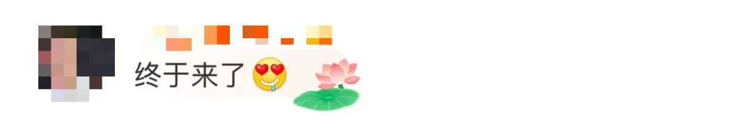 陈思诚,官宣 陈思诚,官宣