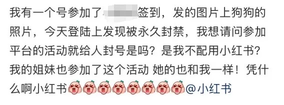 大批网友喊话！一觉醒来，被封号了……