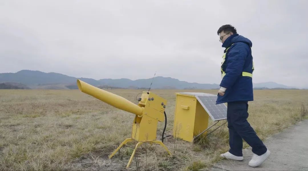 一民航飞机遭鸟撞后返航,鸟撞飞机有多可怕? 一民航飞机遭鸟撞后返航,鸟撞飞机有多可怕?