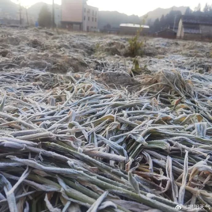 零下1.5℃！广东气温创新低！深圳周末天气......