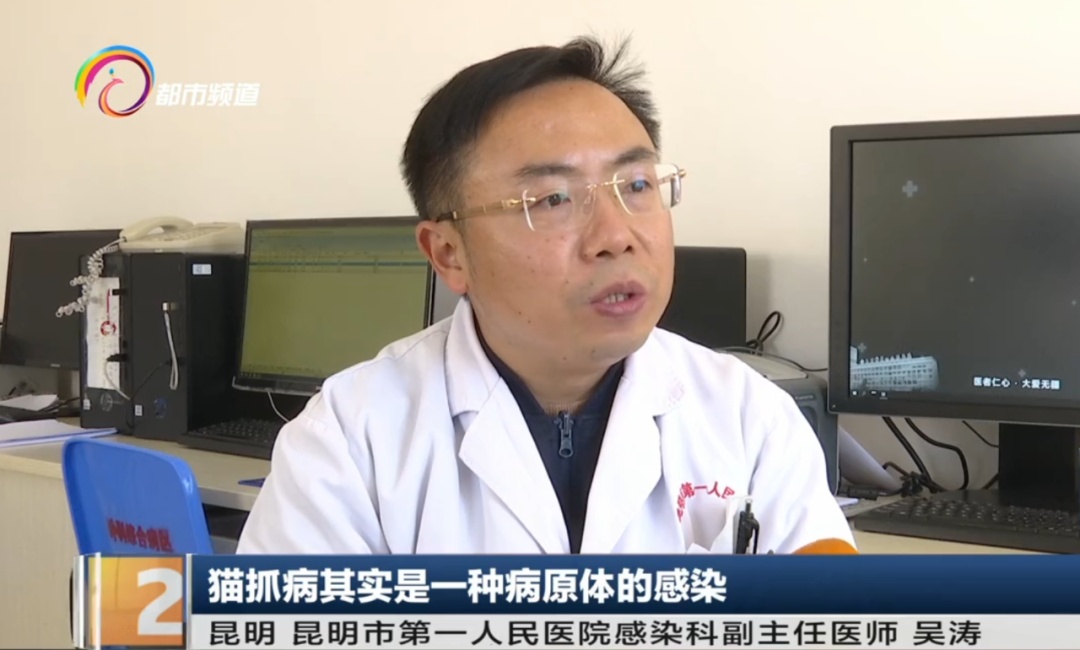 吸猫撸猫一时爽!有人却感染了危及生命的病...... 吸猫撸猫一时爽!有人却感染了危及生命的病......