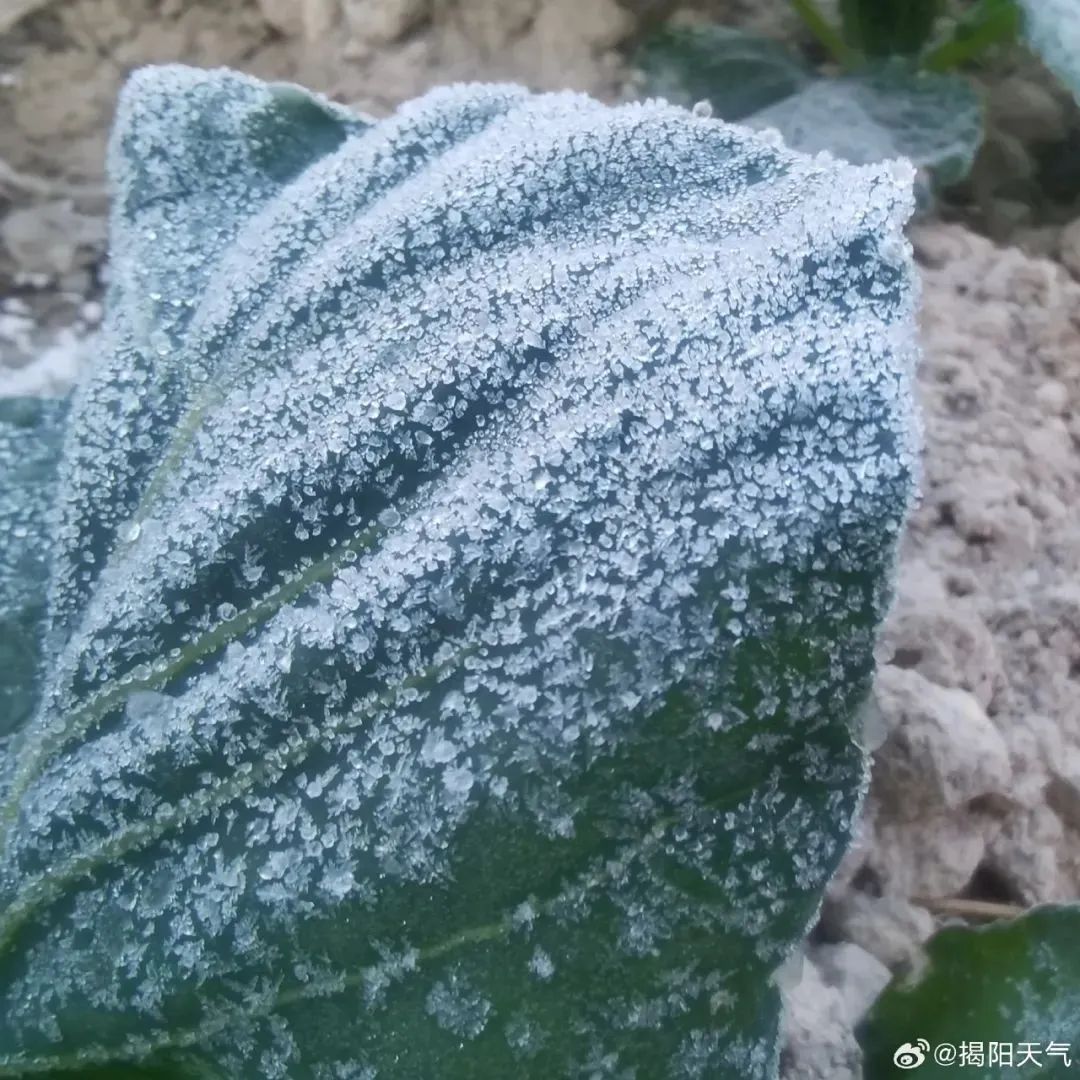 零下1.5℃！广东气温创新低！深圳周末天气......