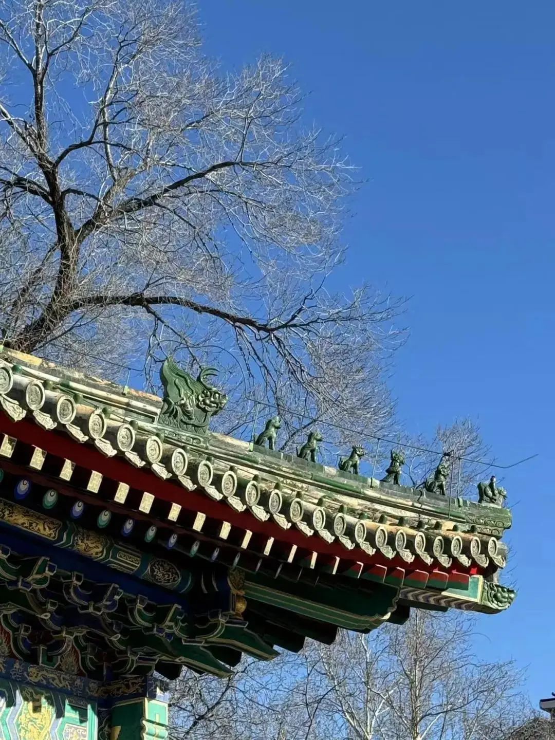 560多年历史!先农坛庆成宫首次向公众开放 560多年历史!先农坛庆成宫首次向公众开放