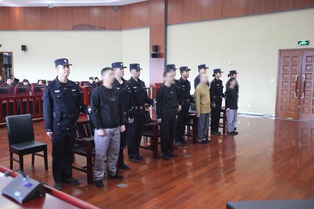 散装鸡蛋假冒品牌鸡蛋，销售金额超百万元，4人团伙受审