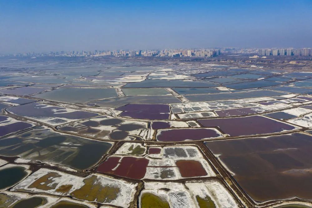 运城:多彩盐湖 冬日画卷 运城:多彩盐湖 冬日画卷