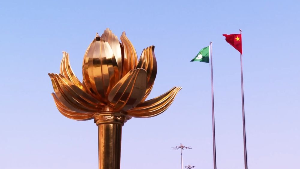 澳门回归祖国25周年丨澳门的文旅吸引力为何强大 澳门回归祖国25周年丨澳门的文旅吸引力为何强大