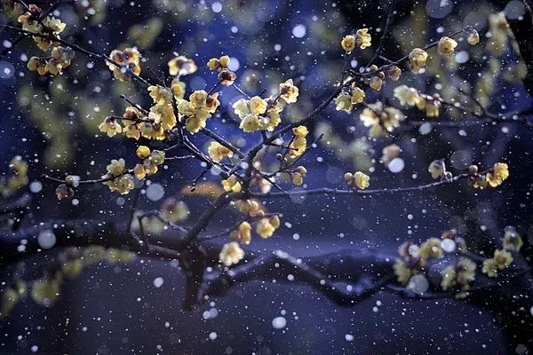 冷空气在路上!“数九寒天”来了,河北未来三天…… 冷空气在路上!“数九寒天”来了,河北未来三天……