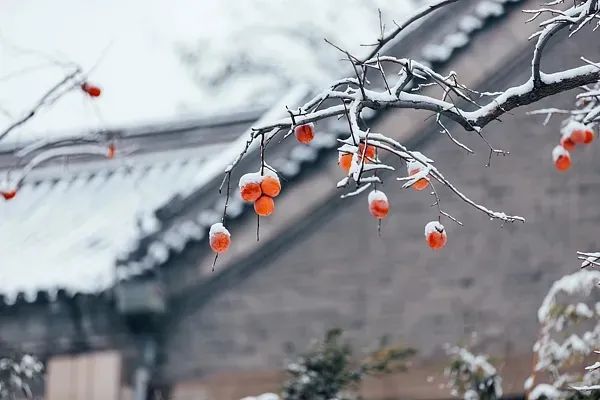 冷空气在路上!“数九寒天”来了,河北未来三天…… 冷空气在路上!“数九寒天”来了,河北未来三天……