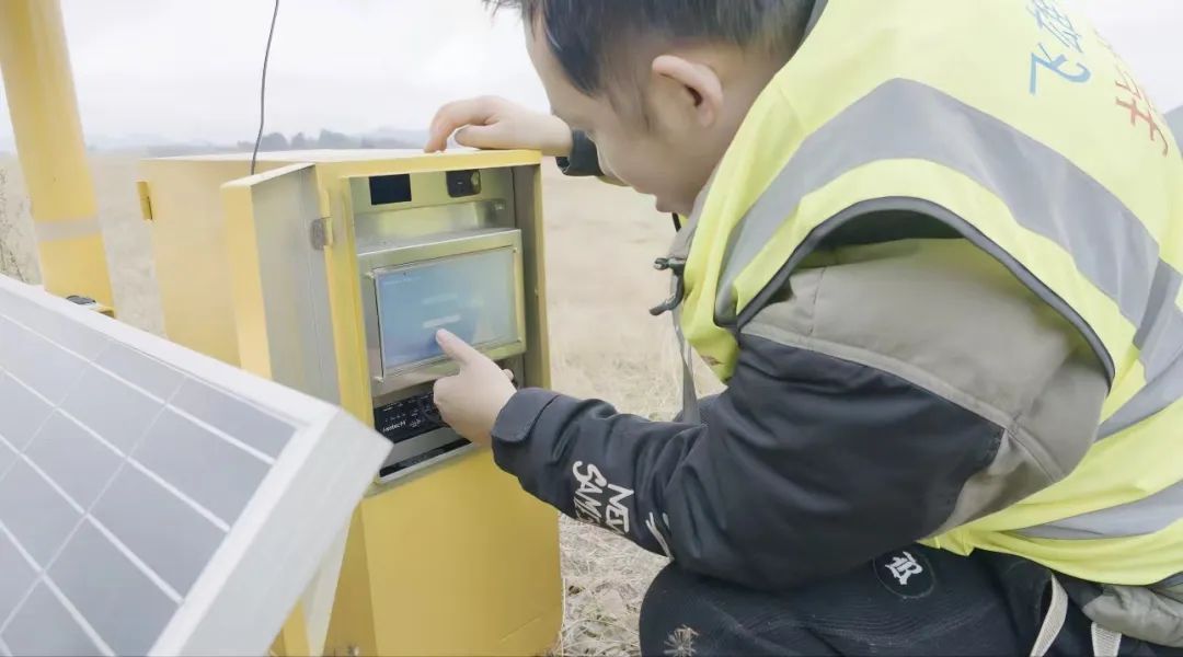 一民航飞机遭鸟撞后返航,鸟撞飞机有多可怕? 一民航飞机遭鸟撞后返航,鸟撞飞机有多可怕?