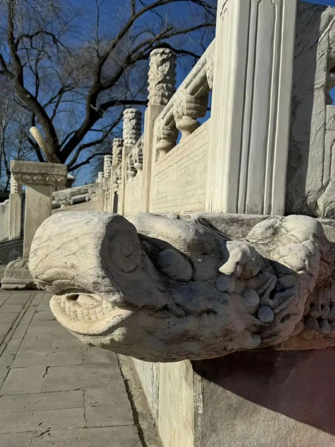 560多年历史!先农坛庆成宫首次向公众开放 560多年历史!先农坛庆成宫首次向公众开放