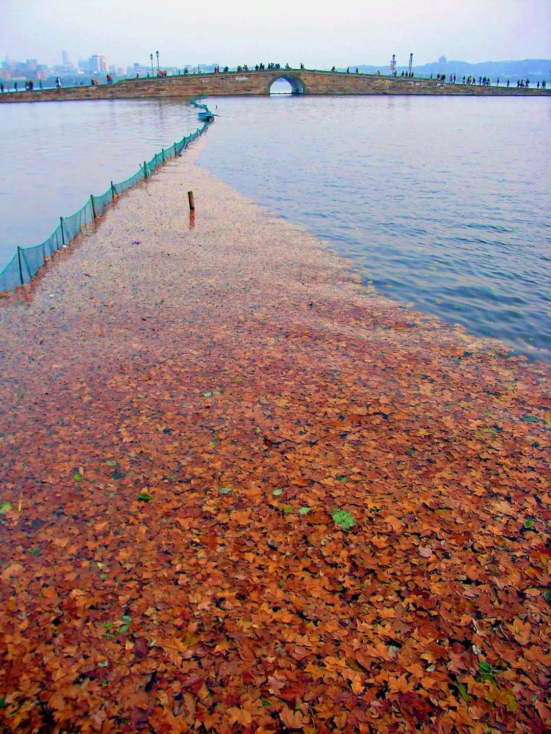 今天，杭州正式进入！这个重要日子，128年来最早