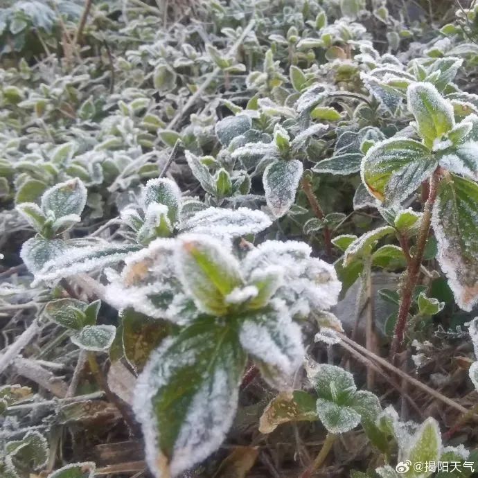零下1.5℃！广东气温创新低！深圳周末天气......