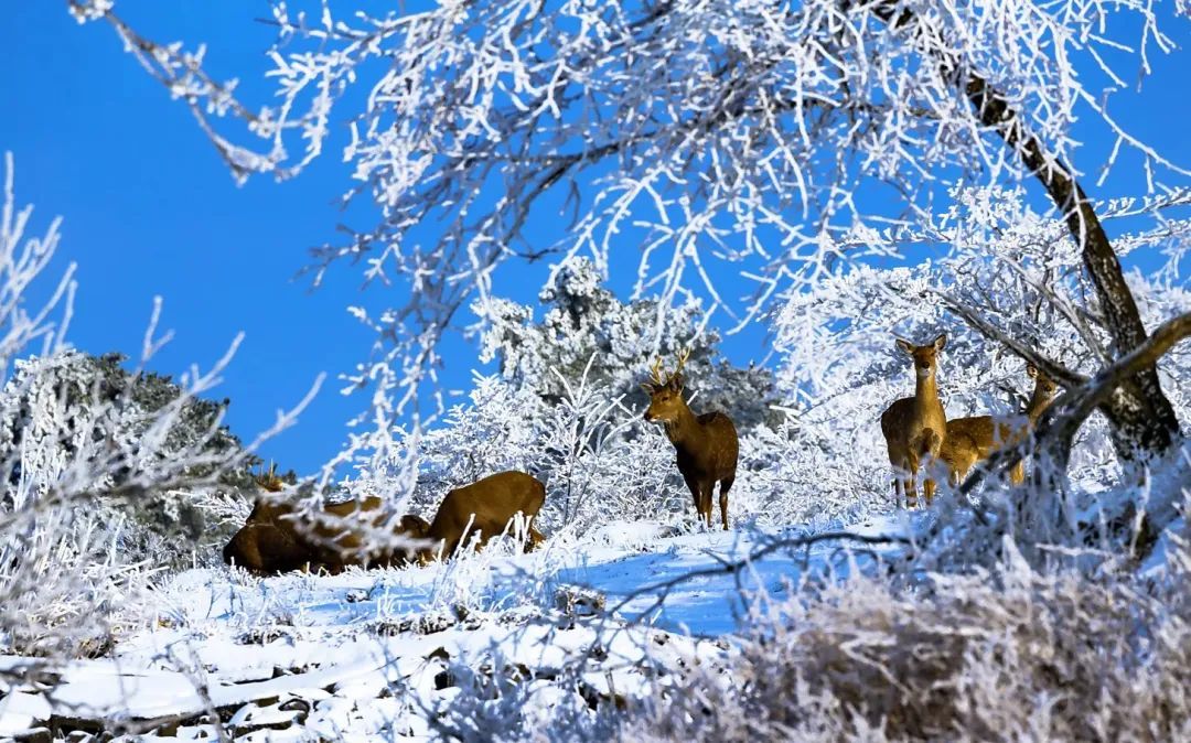 今天，杭州正式进入！这个重要日子，128年来最早