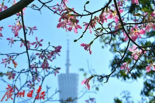 就在今天17时21分！湿冷“魔法攻击”在排期，广东人早点回家