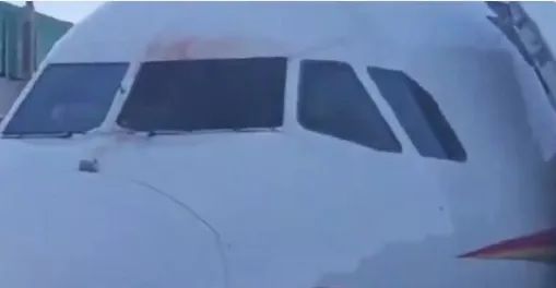 一民航飞机遭鸟撞后返航,鸟撞飞机有多可怕? 一民航飞机遭鸟撞后返航,鸟撞飞机有多可怕?