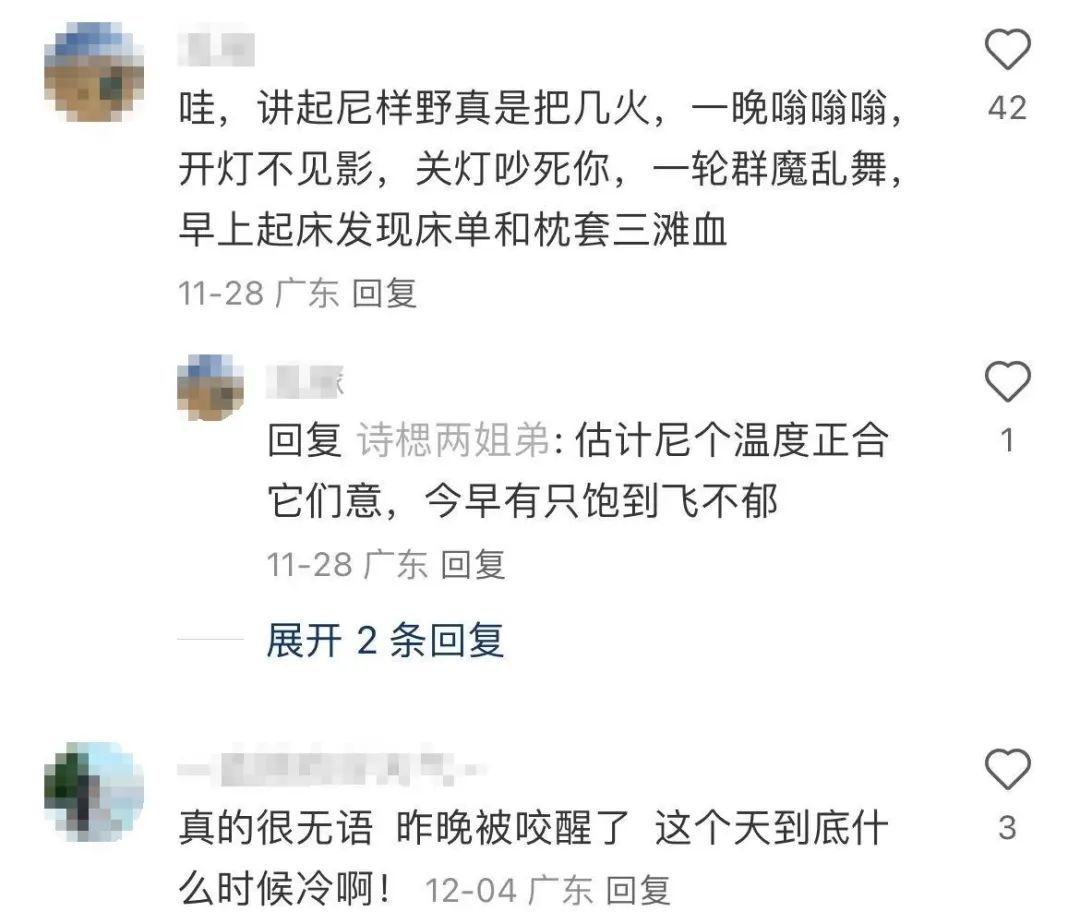 广东网友抓狂：这么冷的天，怎么它还在！