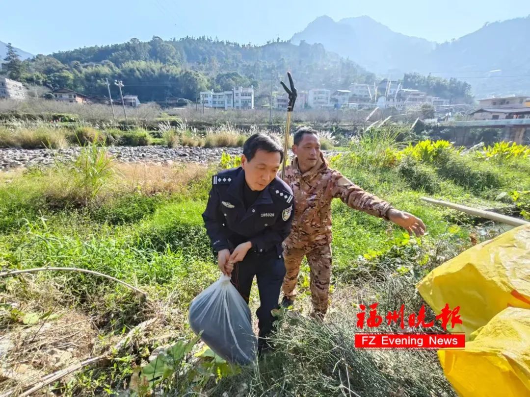 可怕！永泰惊现巨蟒！已盘踞多日