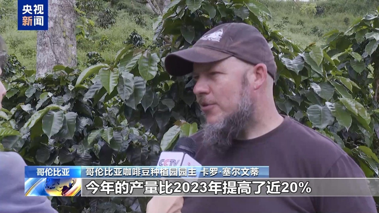 哥伦比亚咖啡业迎来全面复苏 产量和出口量均大幅增加