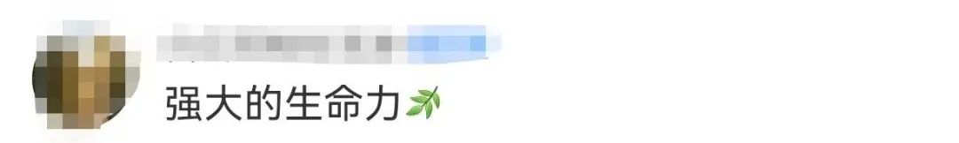 传奇歌后回应“消失近10年”,她的歌曾感动许多人 传奇歌后回应“消失近10年”,她的歌曾感动许多人