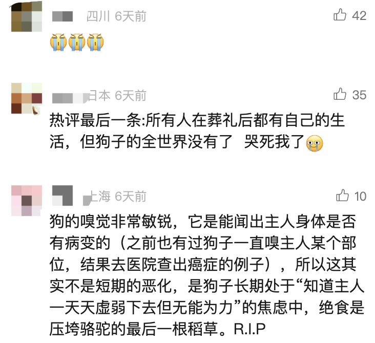 75岁老人病逝，狗狗随主人一同离世...网友泪目：最纯粹的爱