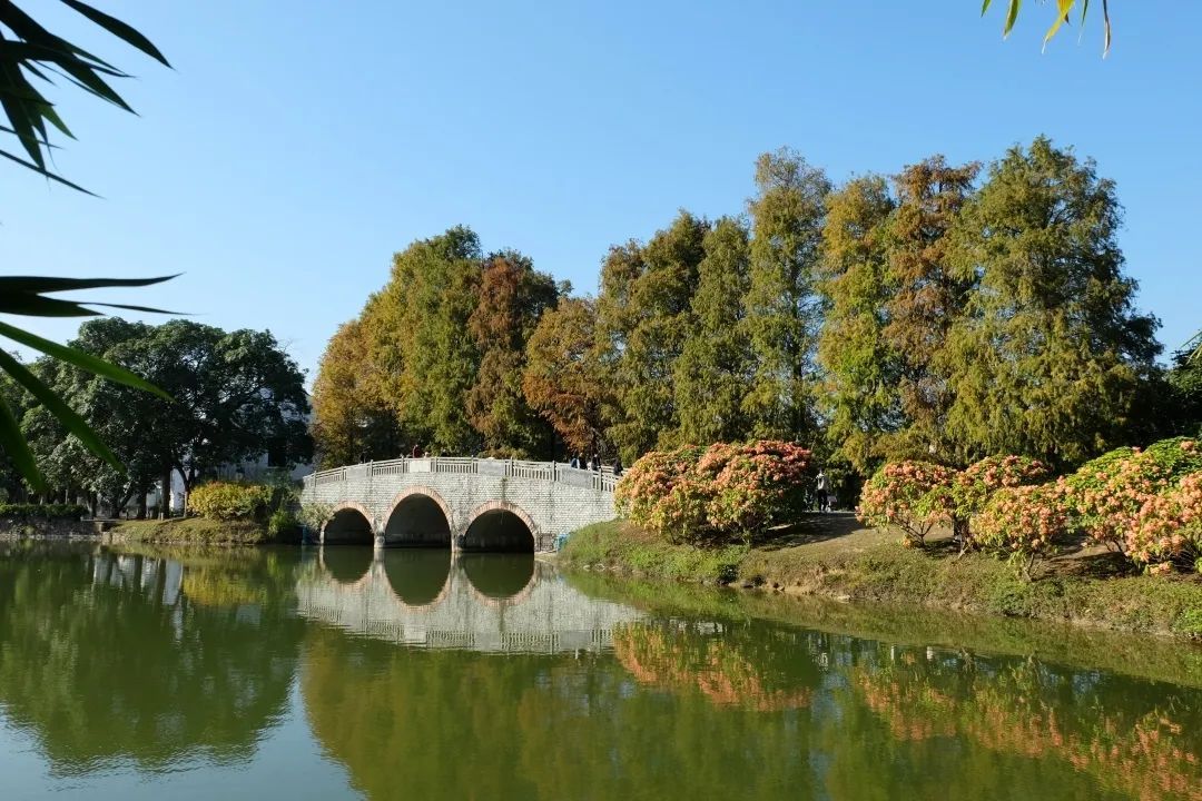 广州又“红”了！一年一度限定版美景，别！错！过！