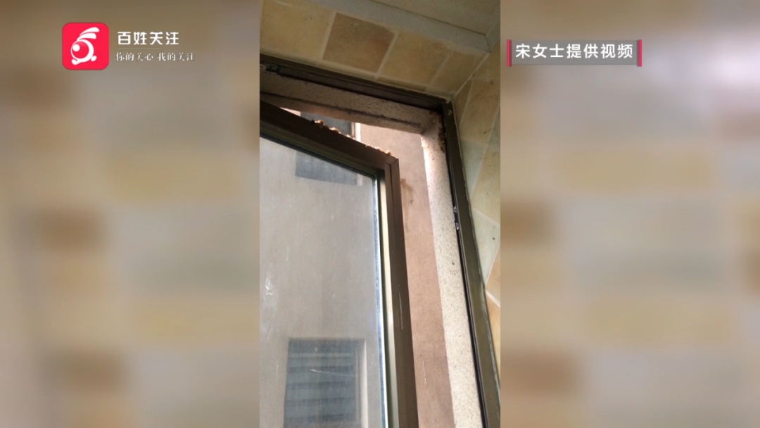 恶心坏了!“厨余炸弹”掉进家,残羹剩水炸开花,业主:不是第一次了 恶心坏了!“厨余炸弹”掉进家,残羹剩水炸开花,业主:不是第一次了