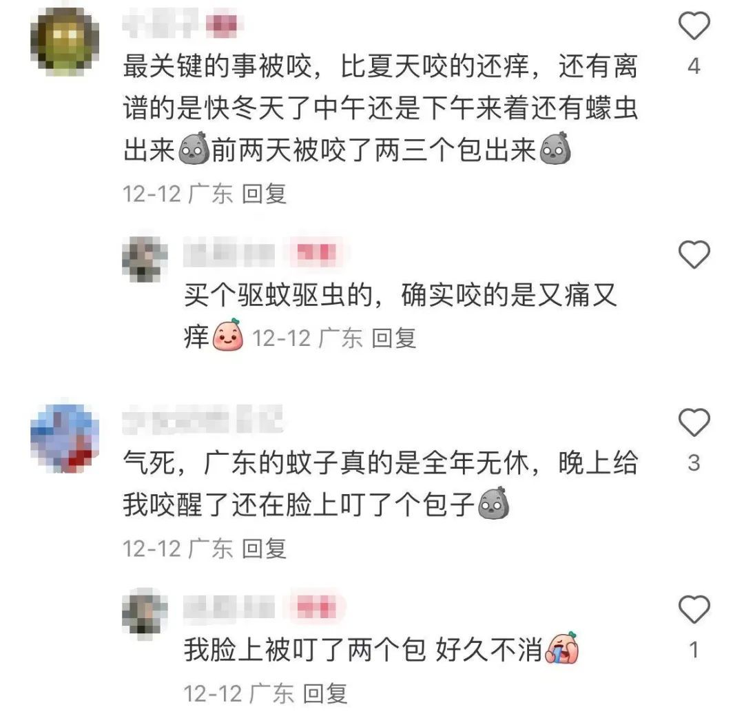 广东网友抓狂：这么冷的天，怎么它还在！