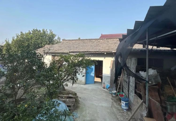 杭州严查此类违法行为！已有多人被采取刑事强制措施